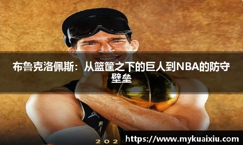 布鲁克洛佩斯：从篮筐之下的巨人到NBA的防守壁垒